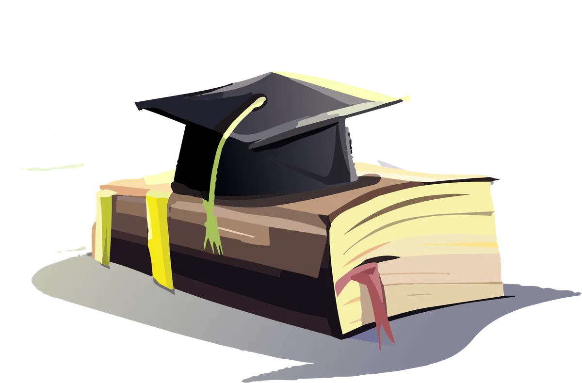 Bildung und Studium
